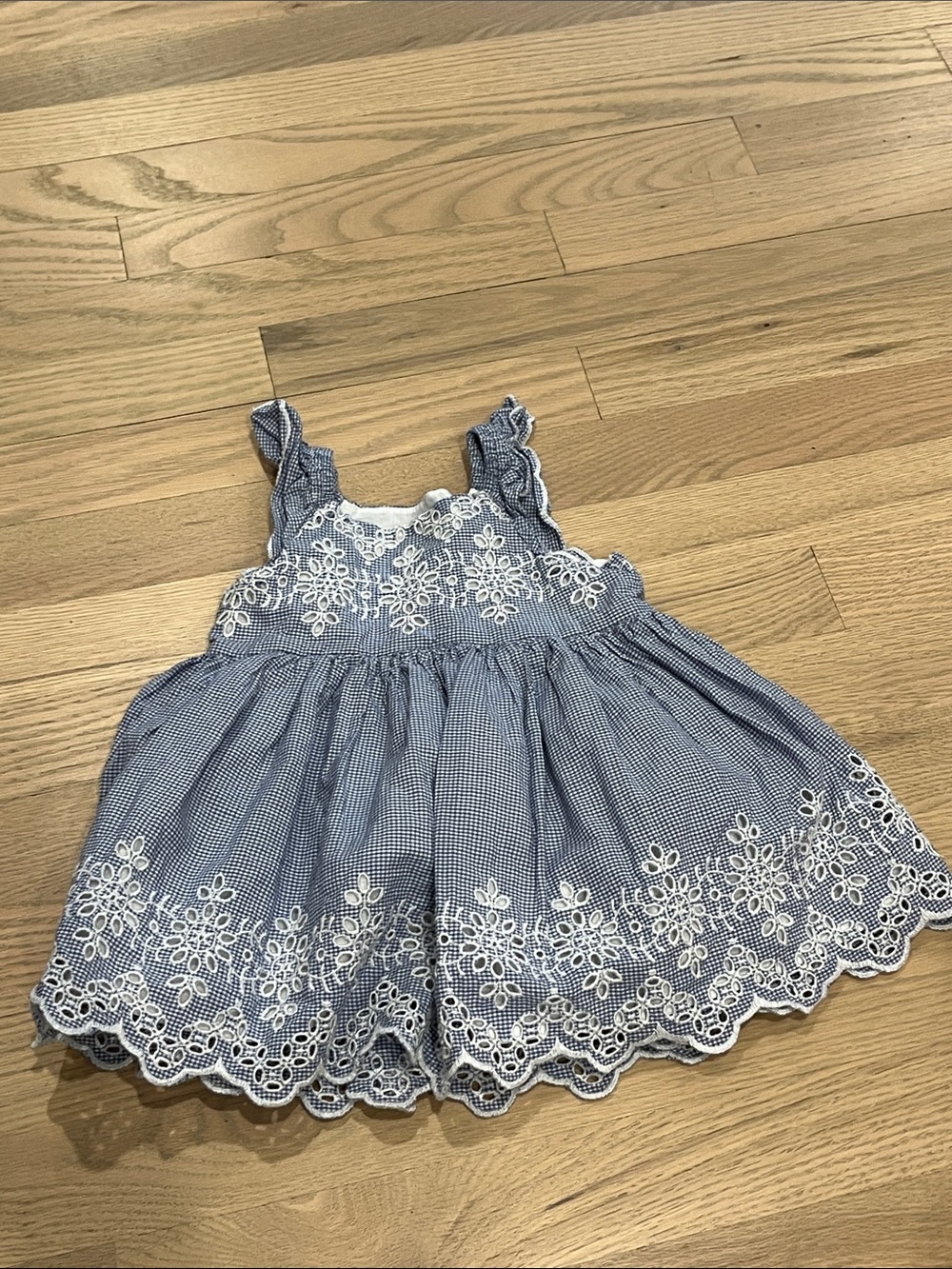 GAP Blue Gingham Lace-Trim Dress